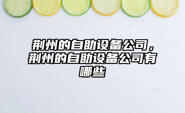 荊州的自助設備公司，荊州的自助設備公司有哪些