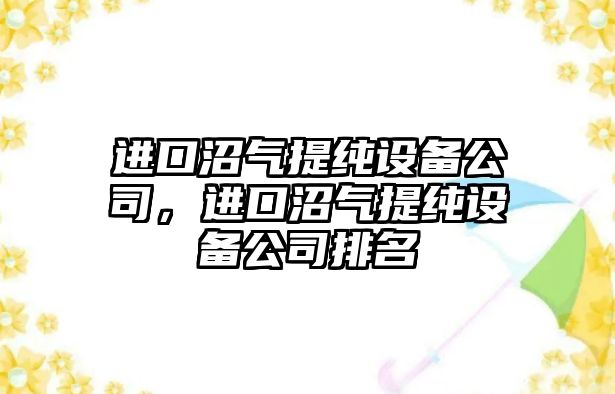 進(jìn)口沼氣提純設備公司，進(jìn)口沼氣提純設備公司排名