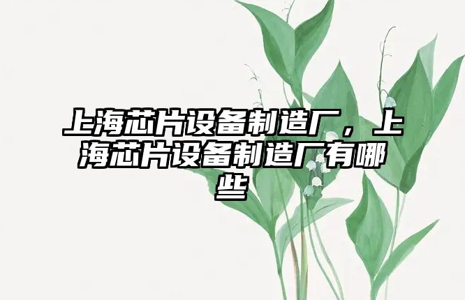 上海芯片設備制造廠(chǎng)，上海芯片設備制造廠(chǎng)有哪些