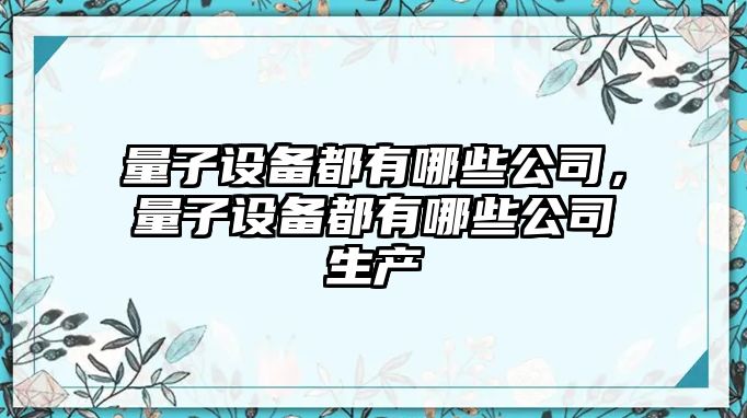 量子設備都有哪些公司，量子設備都有哪些公司生產(chǎn)