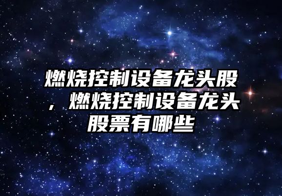 燃燒控制設備龍頭股，燃燒控制設備龍頭股票有哪些