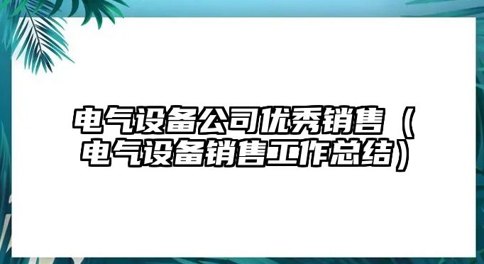 電氣設備公司優(yōu)秀銷(xiāo)售（電氣設備銷(xiāo)售工作總結）