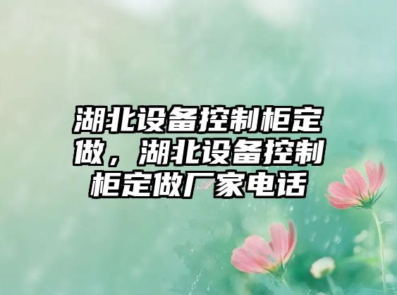 湖北設備控制柜定做，湖北設備控制柜定做廠(chǎng)家電話(huà)