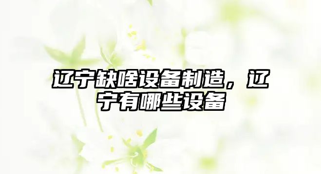 遼寧缺啥設備制造，遼寧有哪些設備