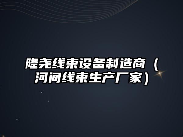 隆堯線(xiàn)束設備制造商（河間線(xiàn)束生產(chǎn)廠(chǎng)家）
