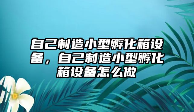 自己制造小型孵化箱設備，自己制造小型孵化箱設備怎么做