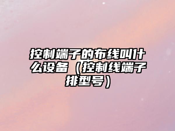 控制端子的布線(xiàn)叫什么設備（控制線(xiàn)端子排型號）