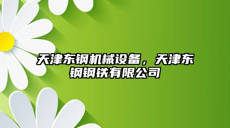 天津東鋼機械設備，天津東鋼鋼鐵有限公司