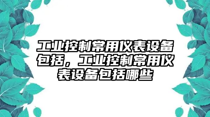 工業(yè)控制常用儀表設備包括，工業(yè)控制常用儀表設備包括哪些
