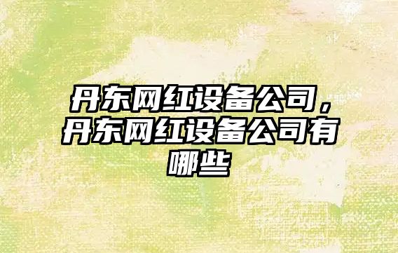 丹東網(wǎng)紅設備公司，丹東網(wǎng)紅設備公司有哪些