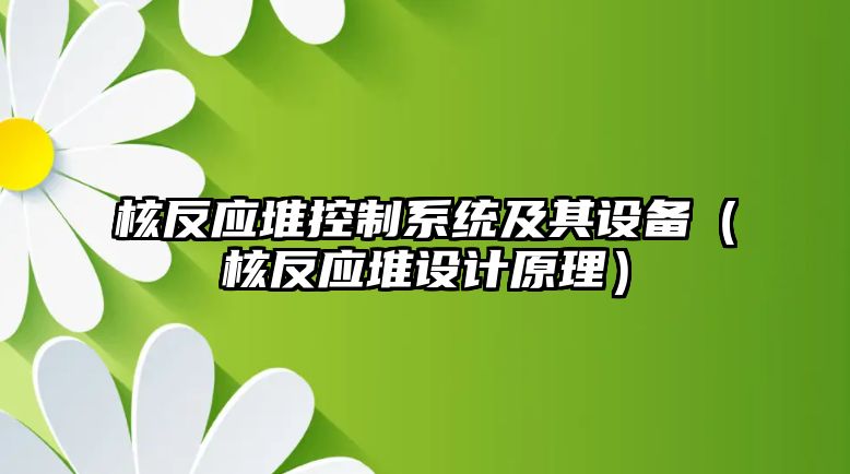 核反應堆控制系統及其設備（核反應堆設計原理）