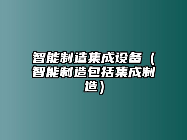 智能制造集成設備（智能制造包括集成制造）