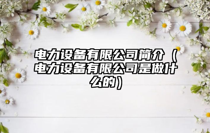 電力設備有限公司簡(jiǎn)介（電力設備有限公司是做什么的）