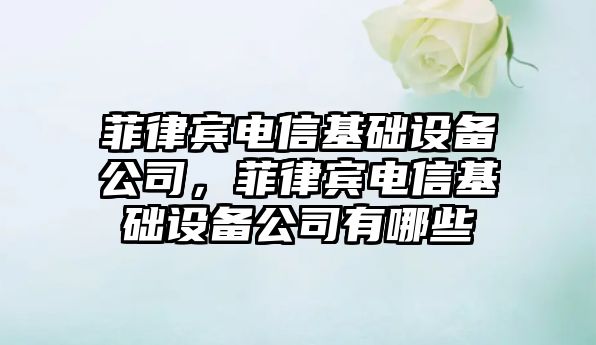菲律賓電信基礎設備公司，菲律賓電信基礎設備公司有哪些