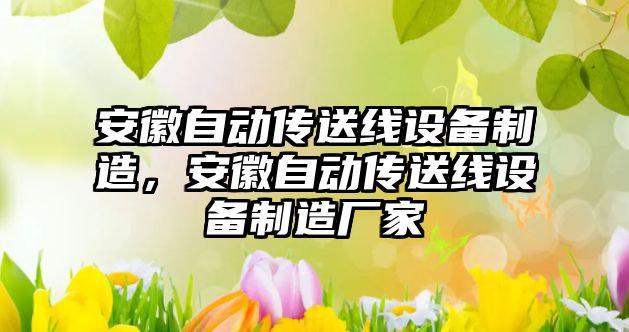 安徽自動(dòng)傳送線(xiàn)設備制造，安徽自動(dòng)傳送線(xiàn)設備制造廠(chǎng)家