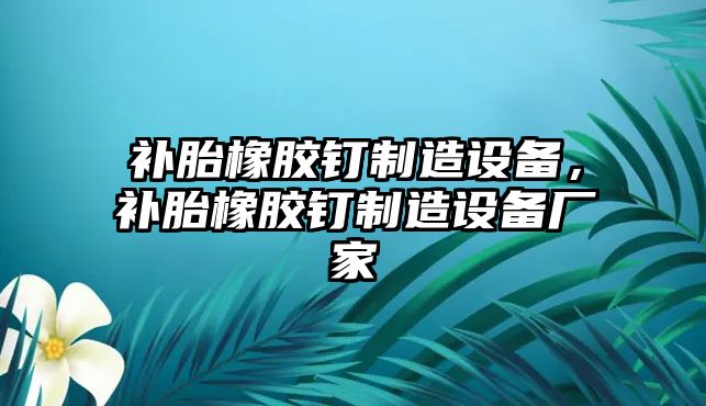 補胎橡膠釘制造設備，補胎橡膠釘制造設備廠(chǎng)家
