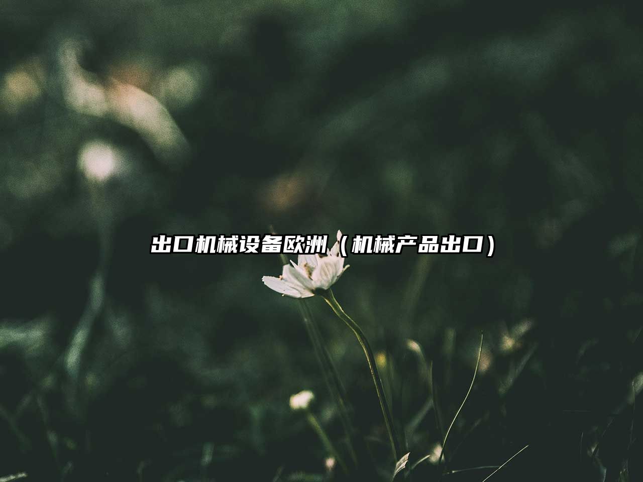 出口機械設備歐洲（機械產(chǎn)品出口）