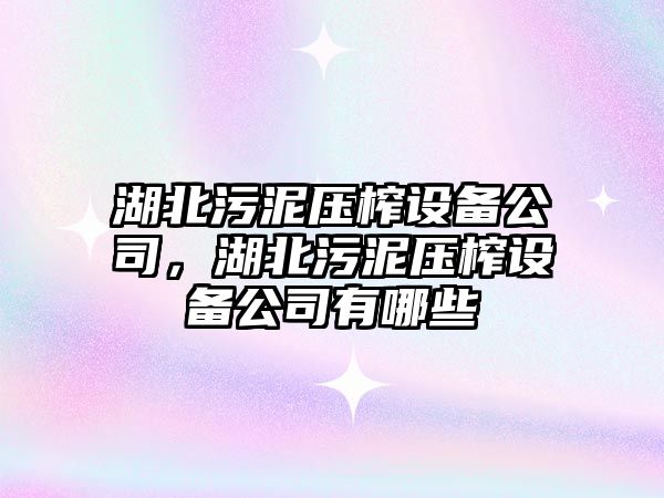 湖北污泥壓榨設備公司，湖北污泥壓榨設備公司有哪些