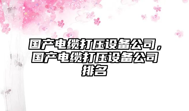 國產(chǎn)電纜打壓設備公司，國產(chǎn)電纜打壓設備公司排名