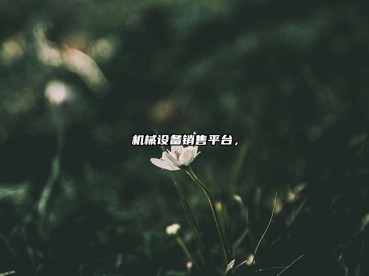 機械設備銷(xiāo)售平臺，