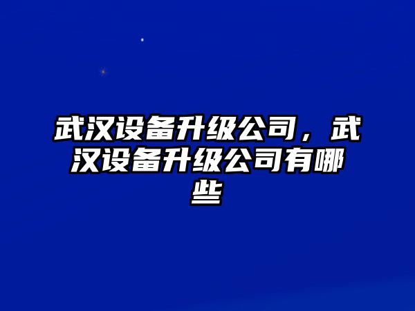 武漢設備升級公司，武漢設備升級公司有哪些