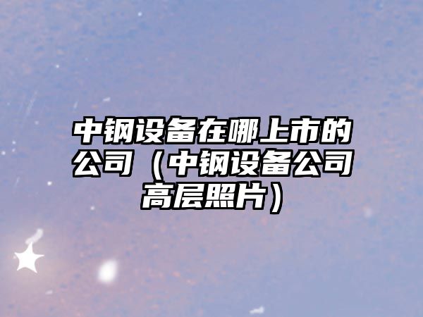 中鋼設備在哪上市的公司（中鋼設備公司高層照片）