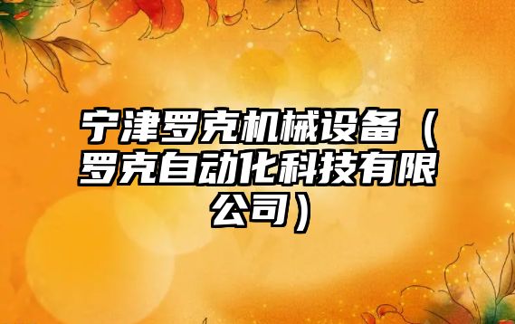 寧津羅克機械設備（羅克自動(dòng)化科技有限公司）