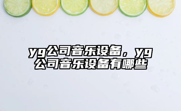yg公司音樂(lè )設備，yg公司音樂(lè )設備有哪些