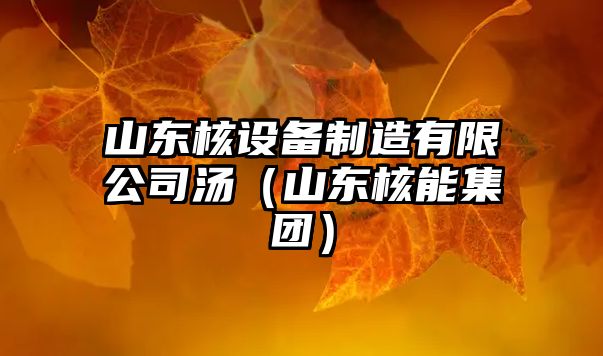 山東核設備制造有限公司湯（山東核能集團）