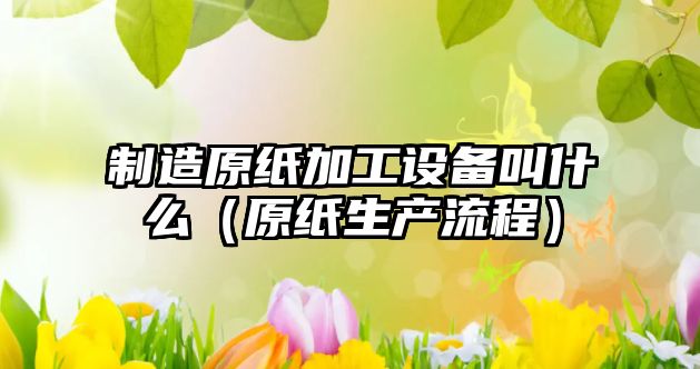 制造原紙加工設備叫什么（原紙生產(chǎn)流程）