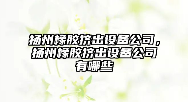 揚州橡膠擠出設備公司，揚州橡膠擠出設備公司有哪些