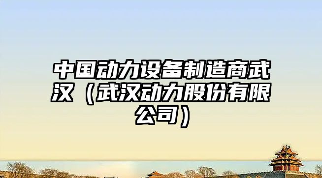 中國動(dòng)力設備制造商武漢（武漢動(dòng)力股份有限公司）