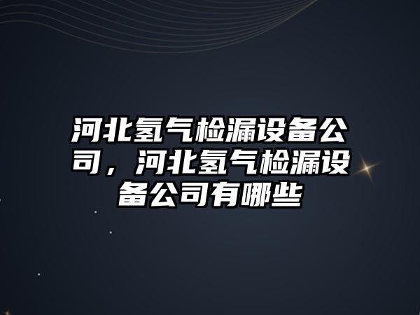 河北氫氣檢漏設備公司，河北氫氣檢漏設備公司有哪些