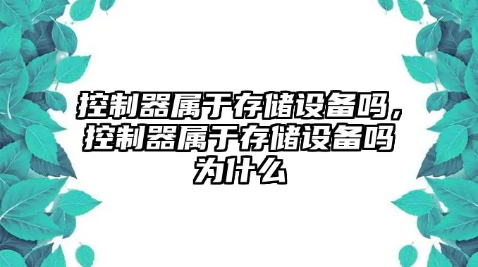 控制器屬于存儲設備嗎，控制器屬于存儲設備嗎為什么