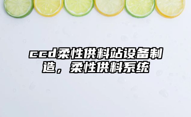 ccd柔性供料站設備制造，柔性供料系統