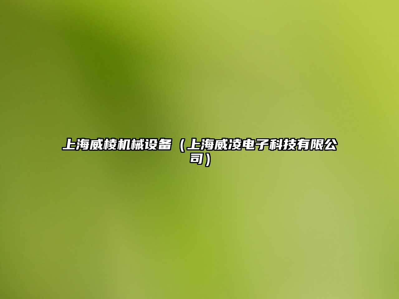 上海威棱機械設備（上海威凌電子科技有限公司）