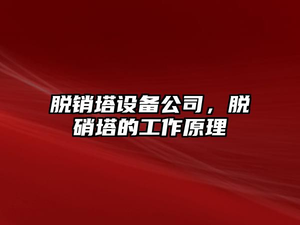 脫銷(xiāo)塔設備公司，脫硝塔的工作原理