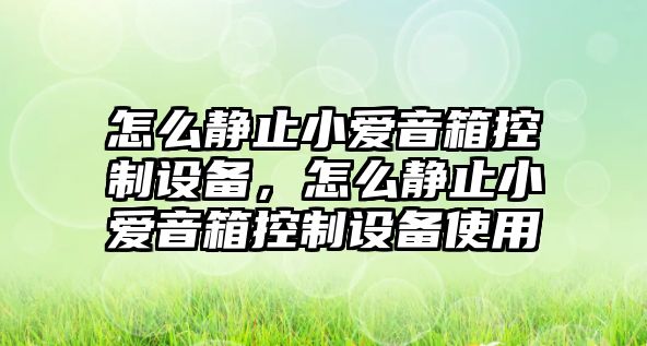 怎么靜止小愛(ài)音箱控制設備，怎么靜止小愛(ài)音箱控制設備使用