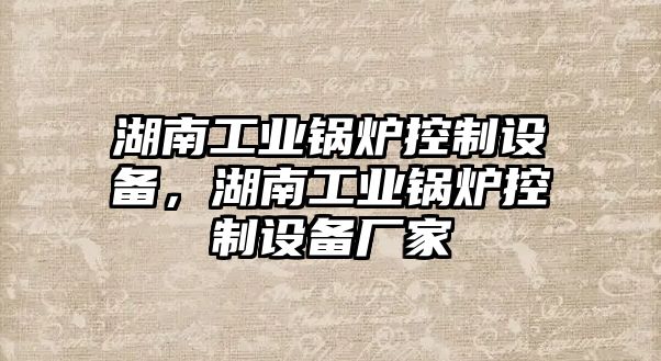 湖南工業(yè)鍋爐控制設備，湖南工業(yè)鍋爐控制設備廠(chǎng)家