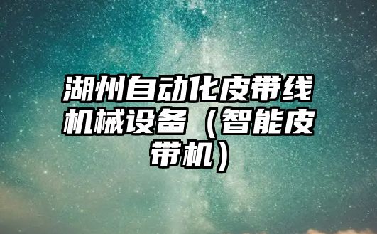 湖州自動(dòng)化皮帶線(xiàn)機械設備（智能皮帶機）