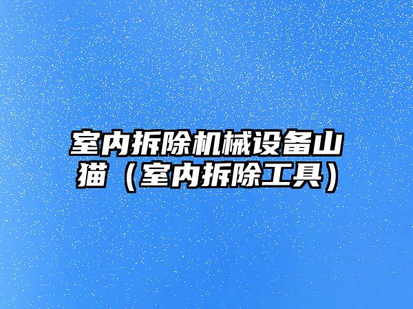 室內拆除機械設備山貓（室內拆除工具）