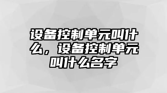 設備控制單元叫什么，設備控制單元叫什么名字