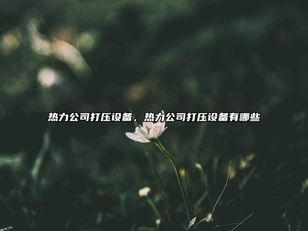 熱力公司打壓設備，熱力公司打壓設備有哪些