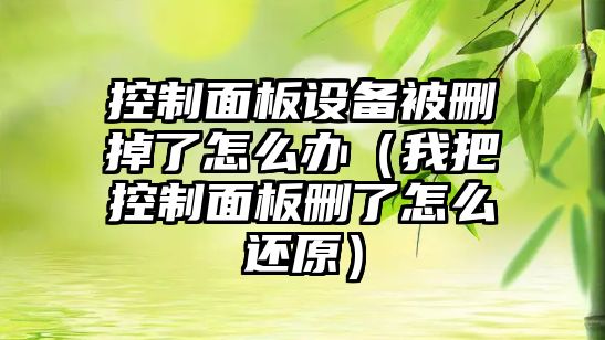 控制面板設備被刪掉了怎么辦（我把控制面板刪了怎么還原）