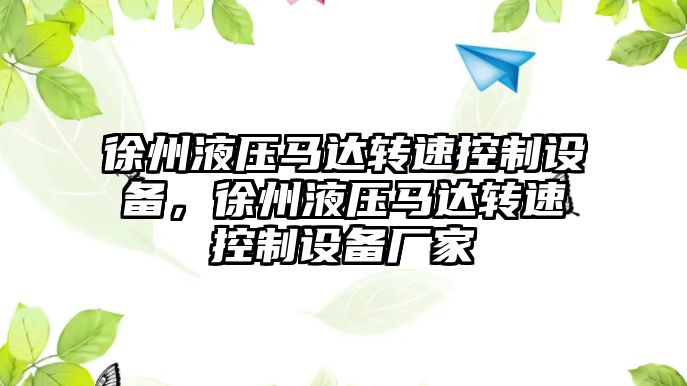 徐州液壓馬達轉速控制設備，徐州液壓馬達轉速控制設備廠(chǎng)家