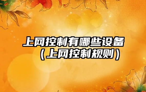 上網(wǎng)控制有哪些設備（上網(wǎng)控制規則）