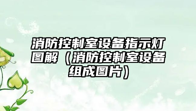 消防控制室設備指示燈圖解（消防控制室設備組成圖片）