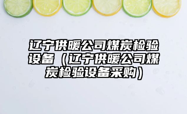遼寧供暖公司煤炭檢驗設備（遼寧供暖公司煤炭檢驗設備采購）