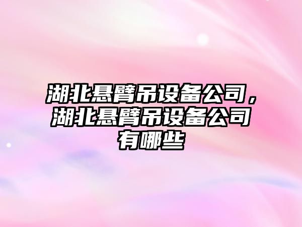 湖北懸臂吊設備公司，湖北懸臂吊設備公司有哪些