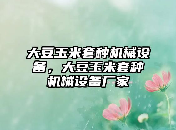 大豆玉米套種機械設備，大豆玉米套種機械設備廠(chǎng)家